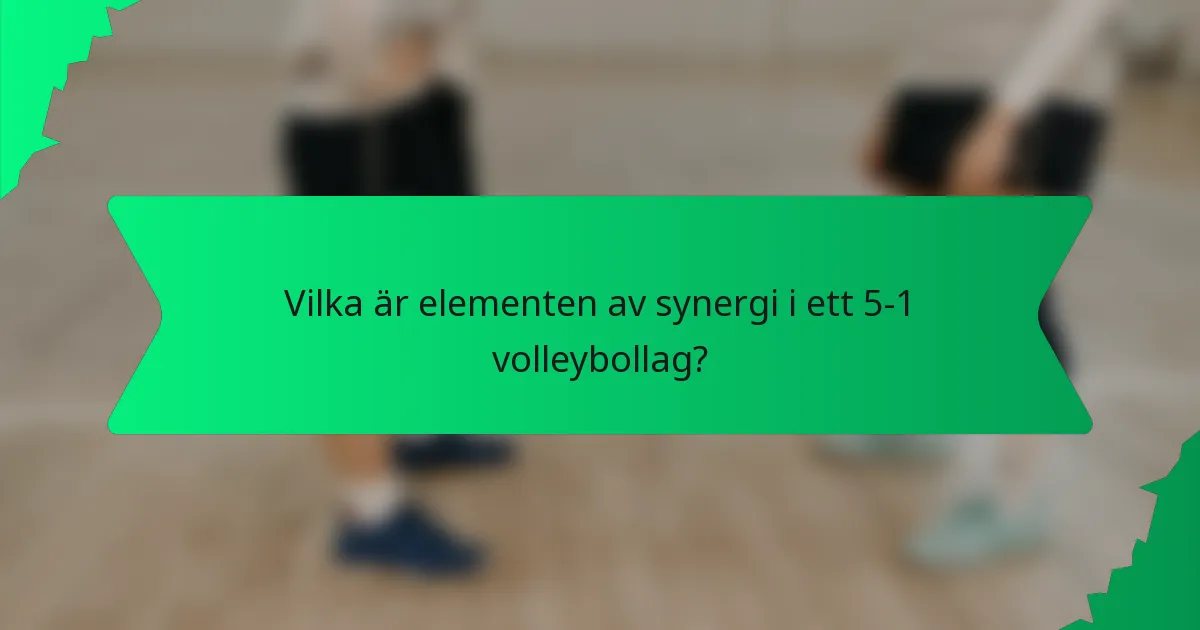 Vilka är elementen av synergi i ett 5-1 volleybollag?